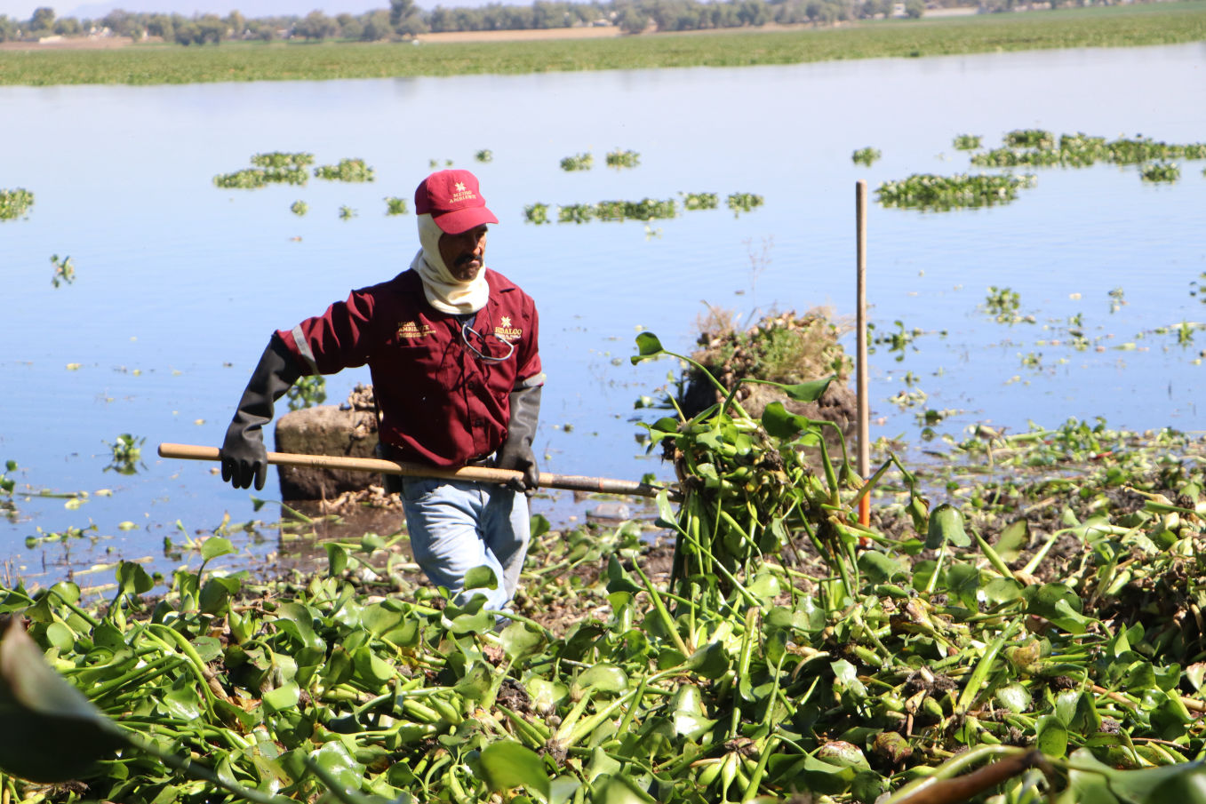 Intensifican acciones en la Presa Endhó